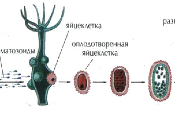 Ссылка кракен