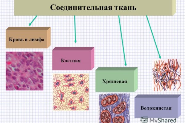 Kraken ссылка krakens13 at