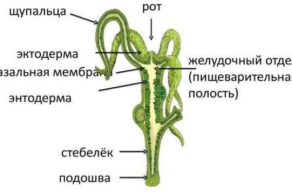 Кракен даркнет магазин