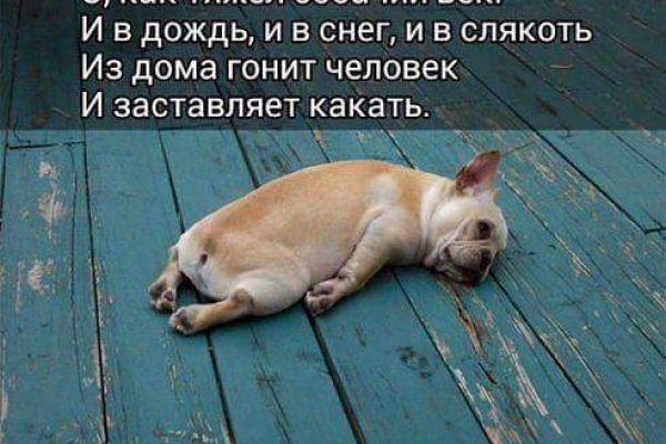 Не могу зайти на кракен